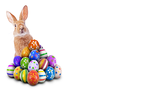 Easter Bunny surrounded by colored eggs